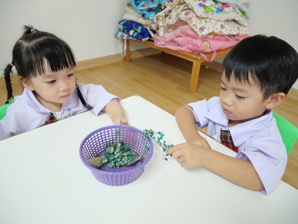 Two children choosing dried flowers from a purple basket on the table