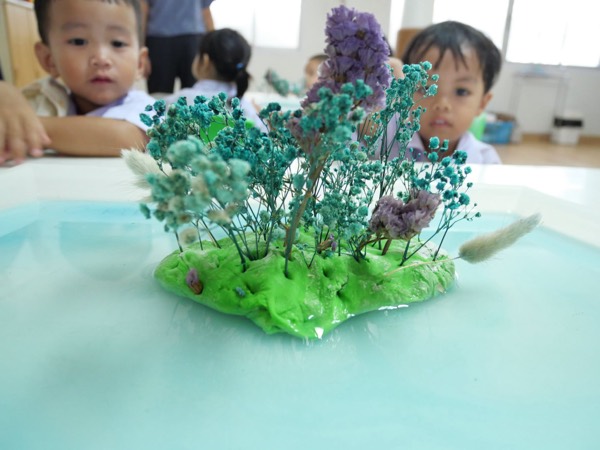 The little island the children made from green dough and dried flowers, standing in a tray of water